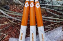 DeMarini Corn Dog Review